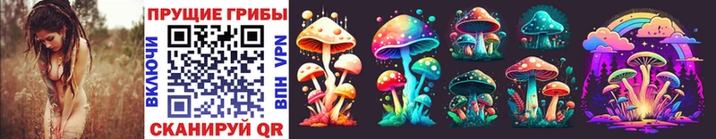 Псилоцибиновые грибы Psilocybe  Ершов 