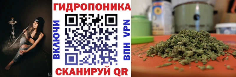 Бошки марихуана Bruce Banner  Ершов 